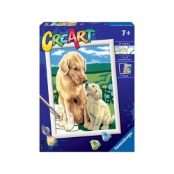 CREART RETRIEVER SUL PRATO