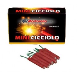 40 MINI CICCIOLO