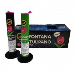 2 Fontana Tulipano